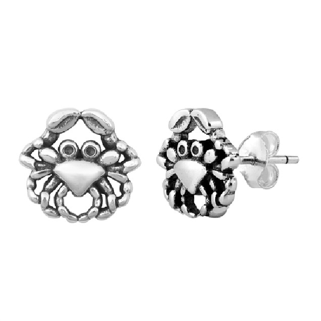 Boucles d'oreilles en Argent Massif